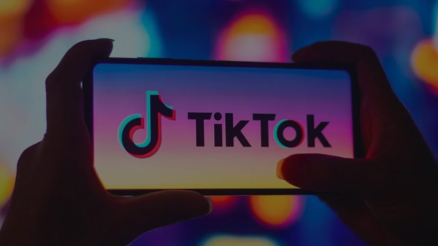 Political parties on TikTok